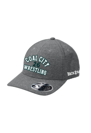 CHAMPIONSHIP SNAP BACK FLEX CAP - C301