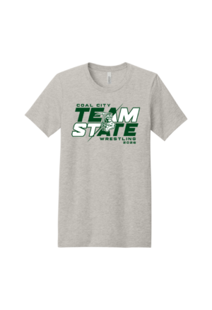 SHORT SLEEVE TEAM STATE TEE - bc3001CVC